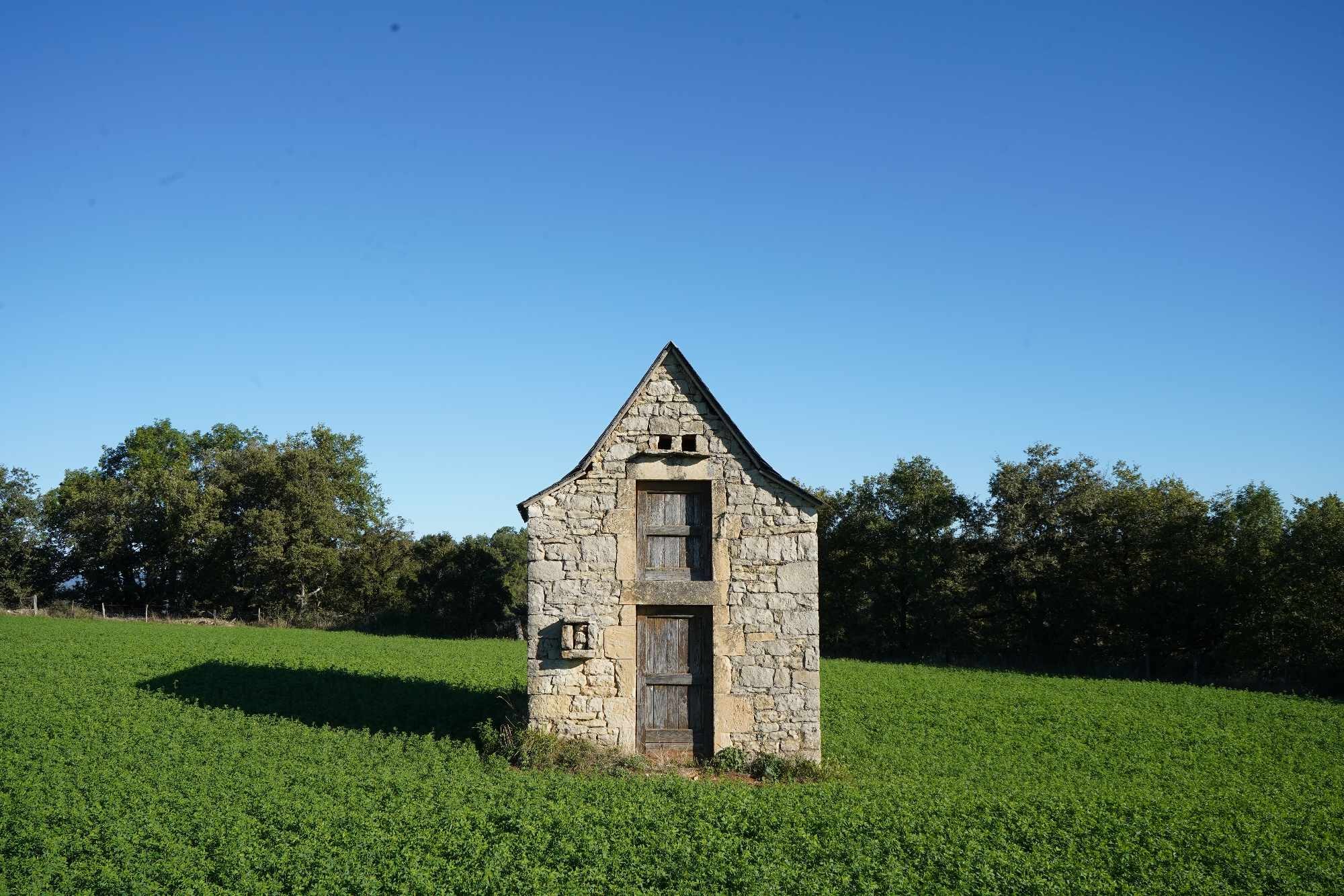 Received 424895576805667