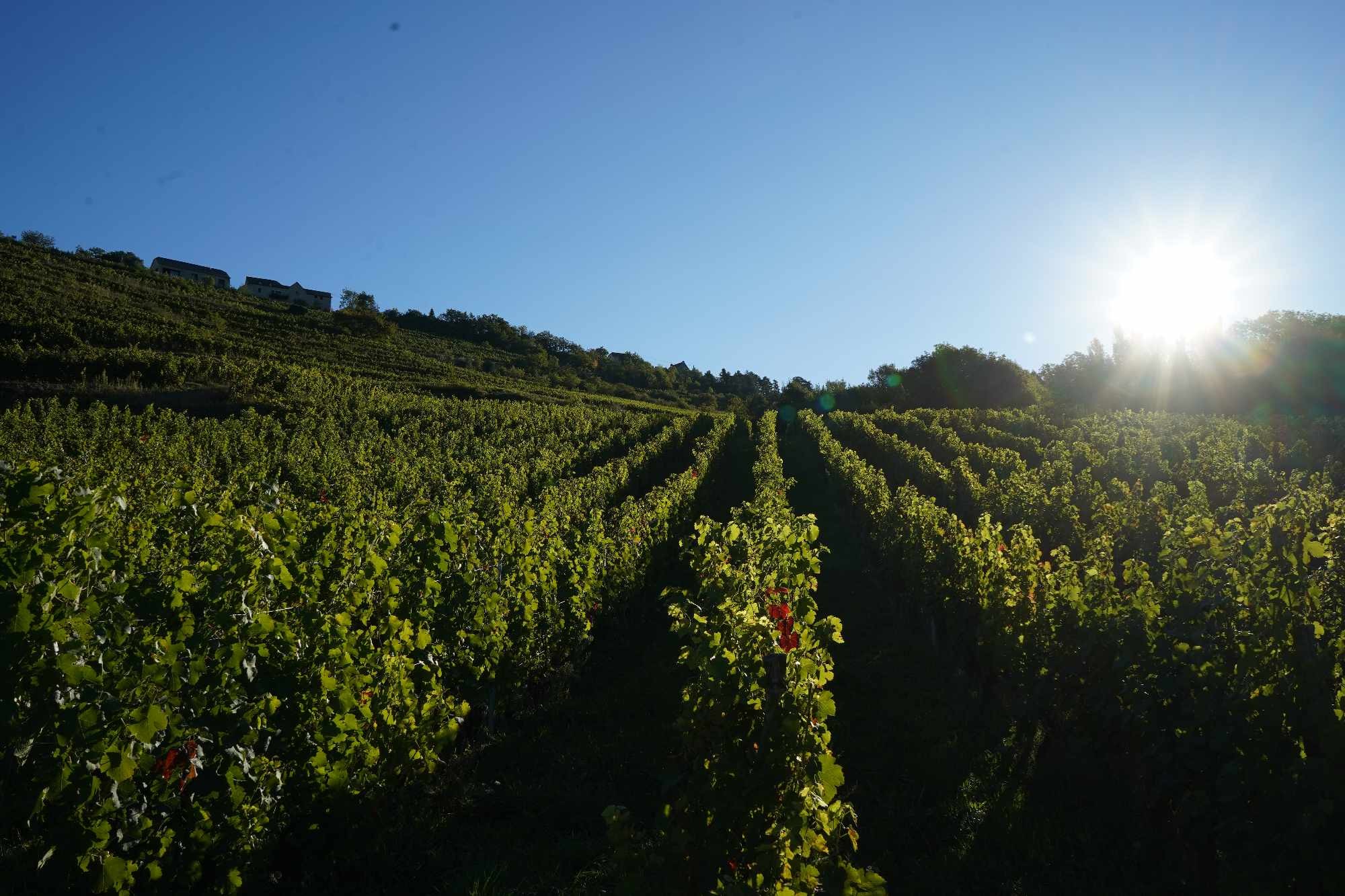 Received 471003109273319