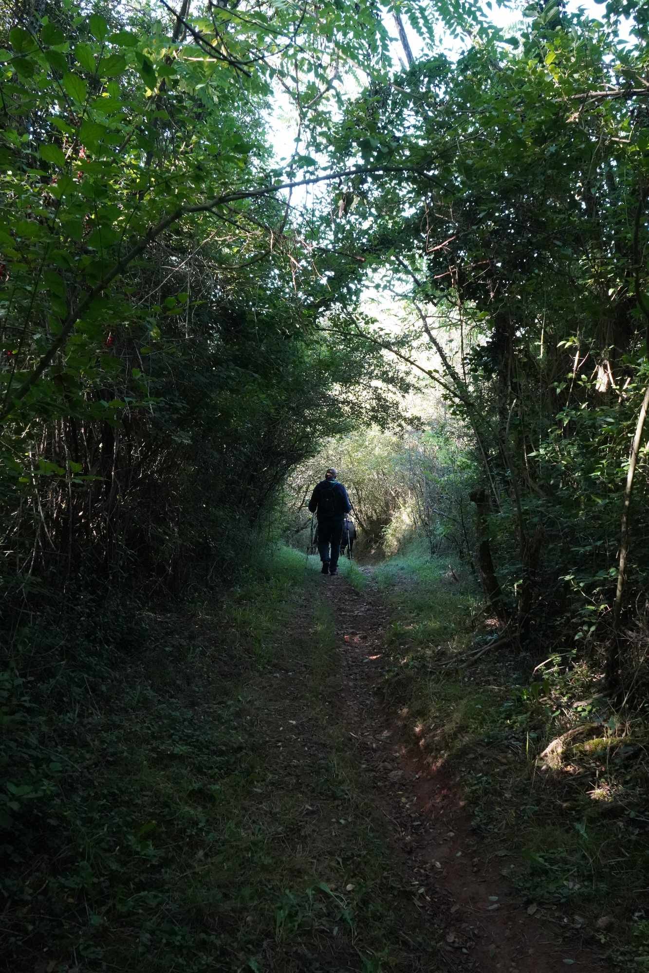 Received 488157937388894