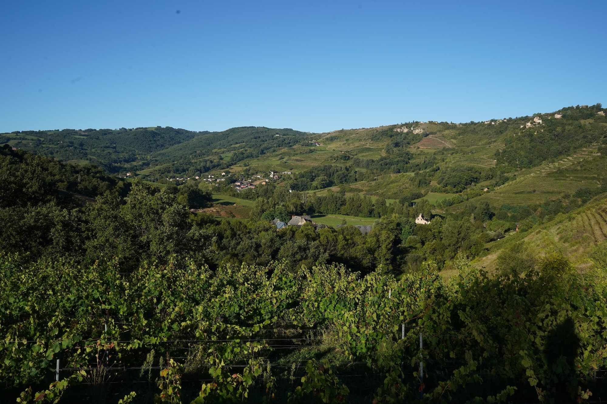 Received 489129610700517