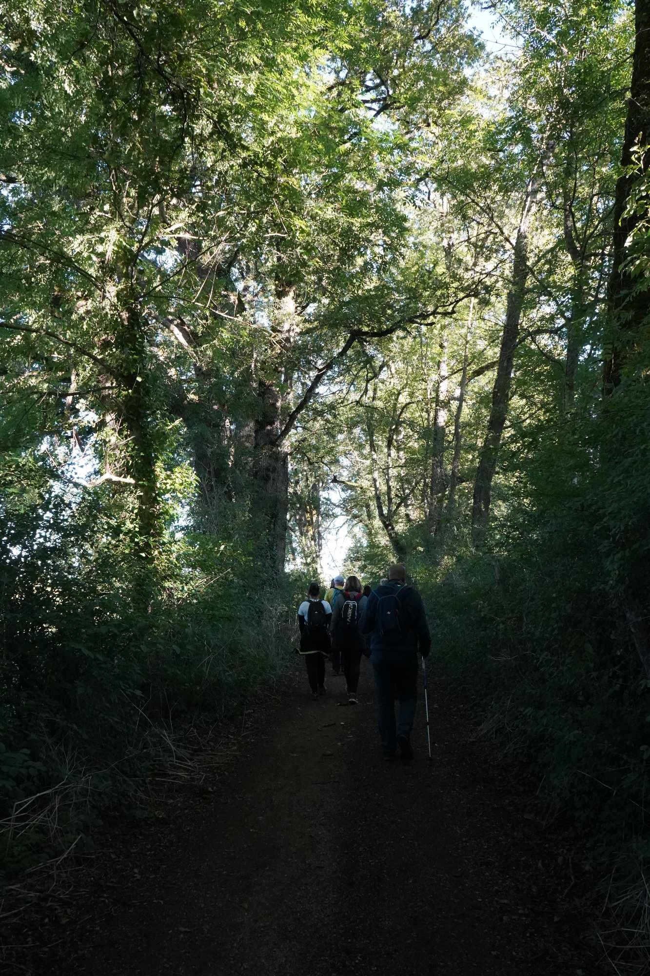 Received 497728713187543