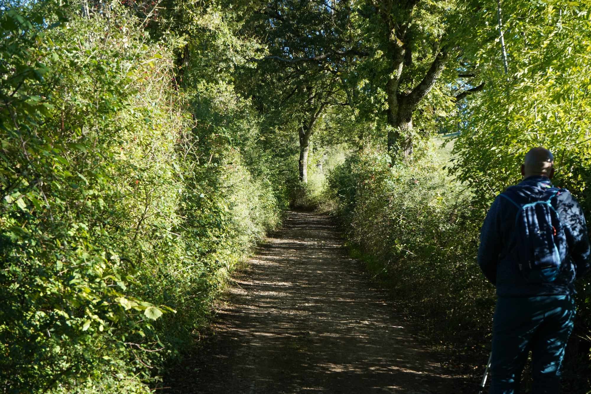 Received 513879814566889