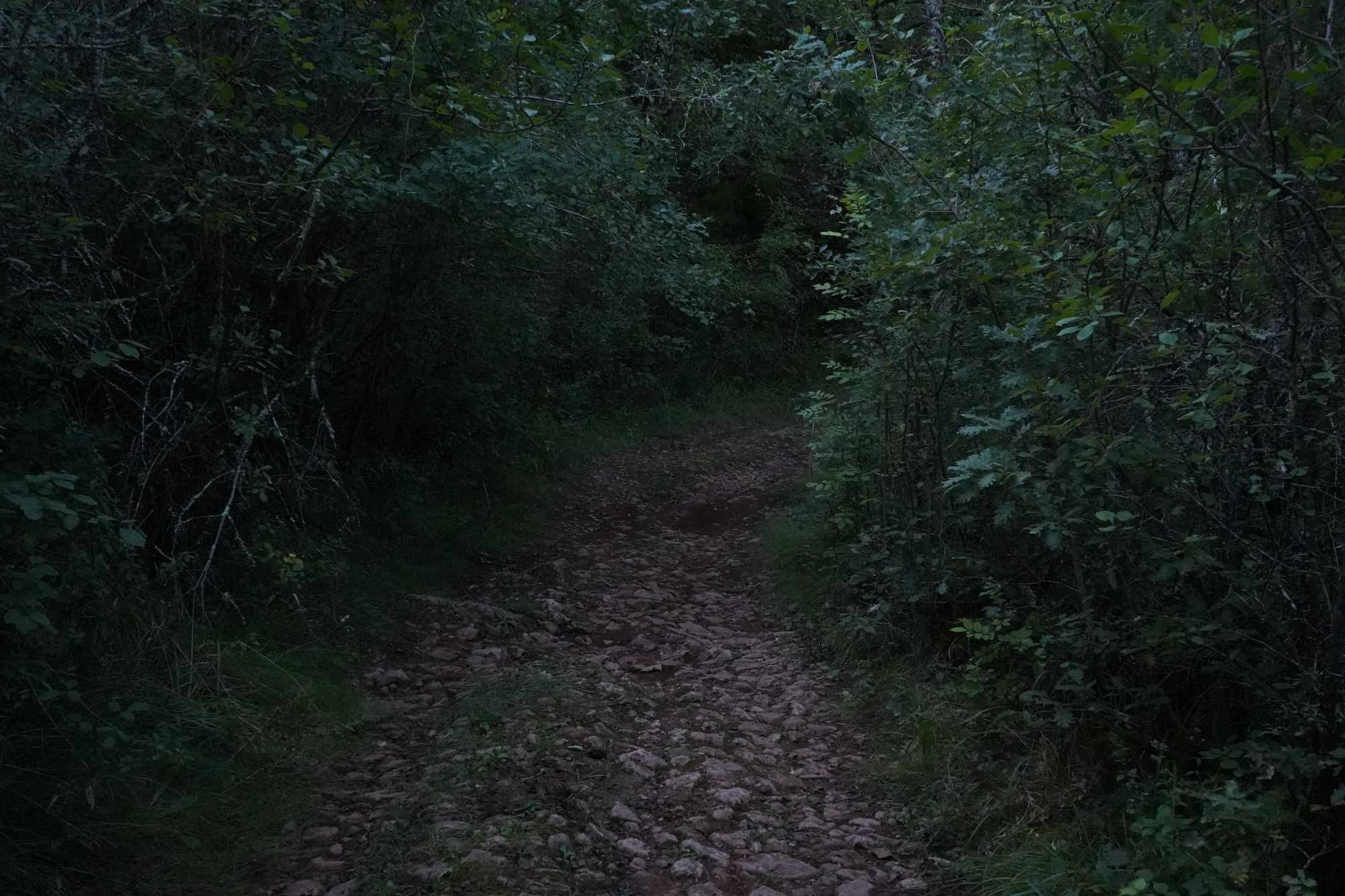 Received 530427549344173