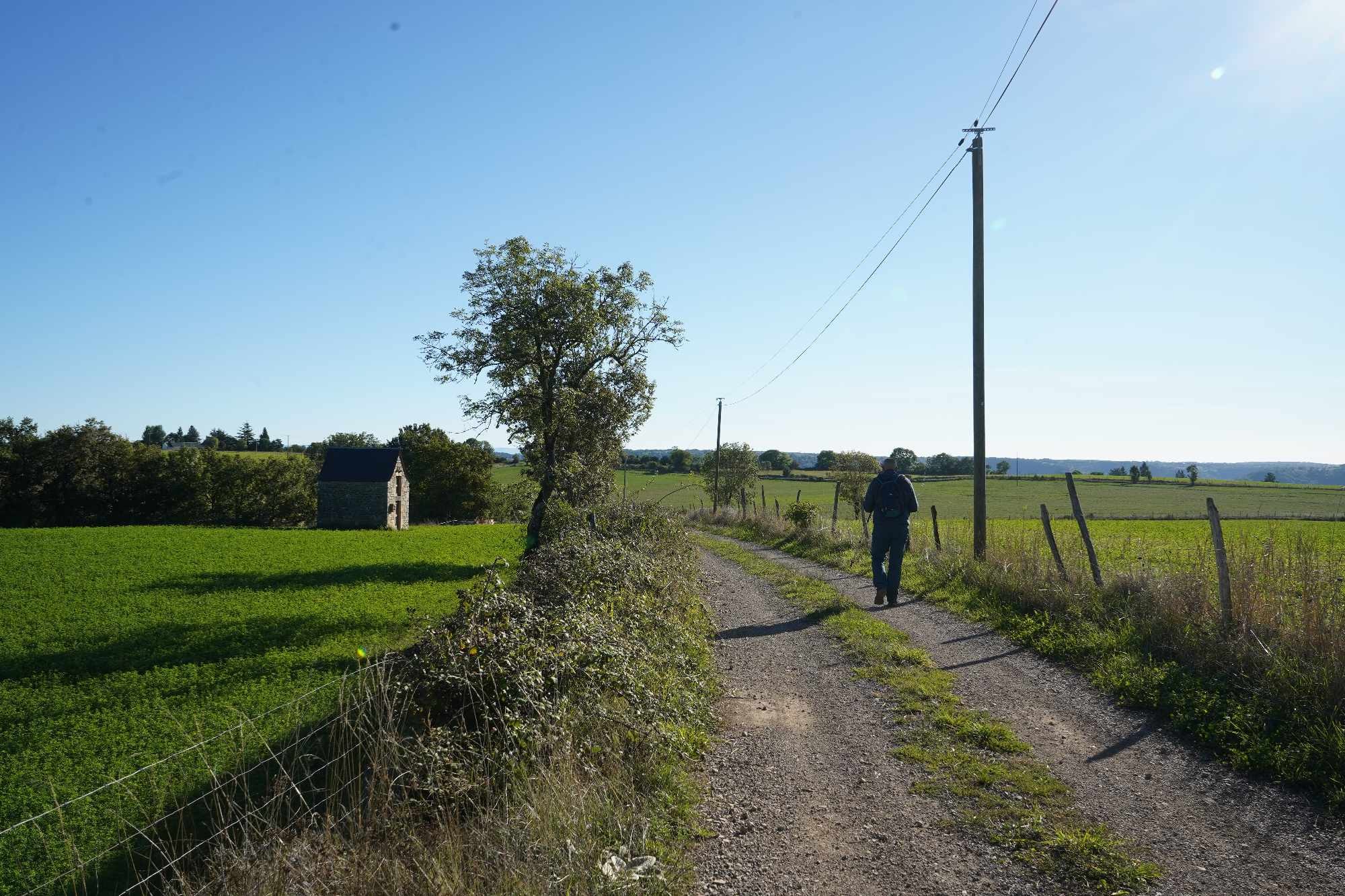 Received 557886076667197