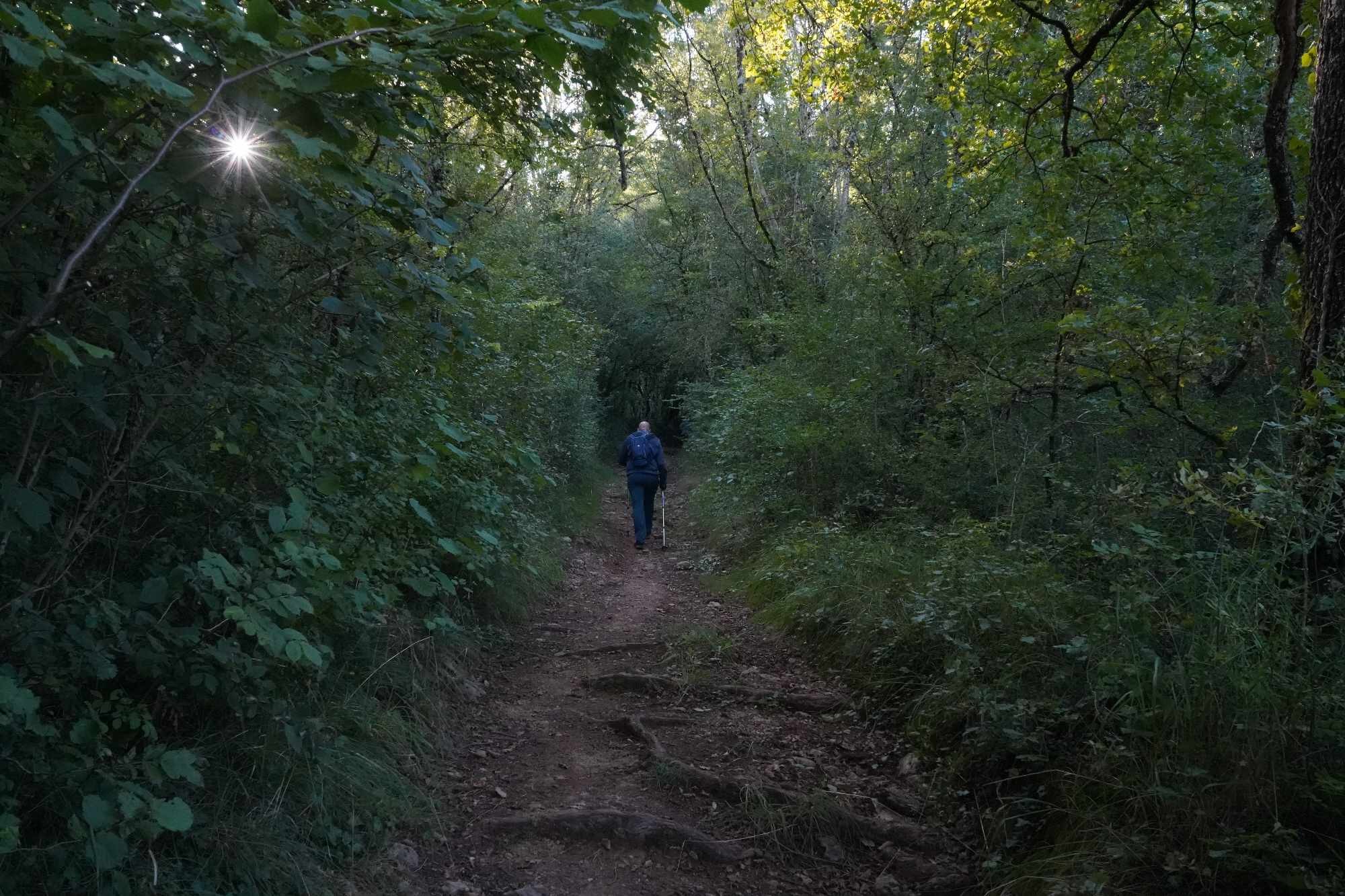 Received 7465058573597433