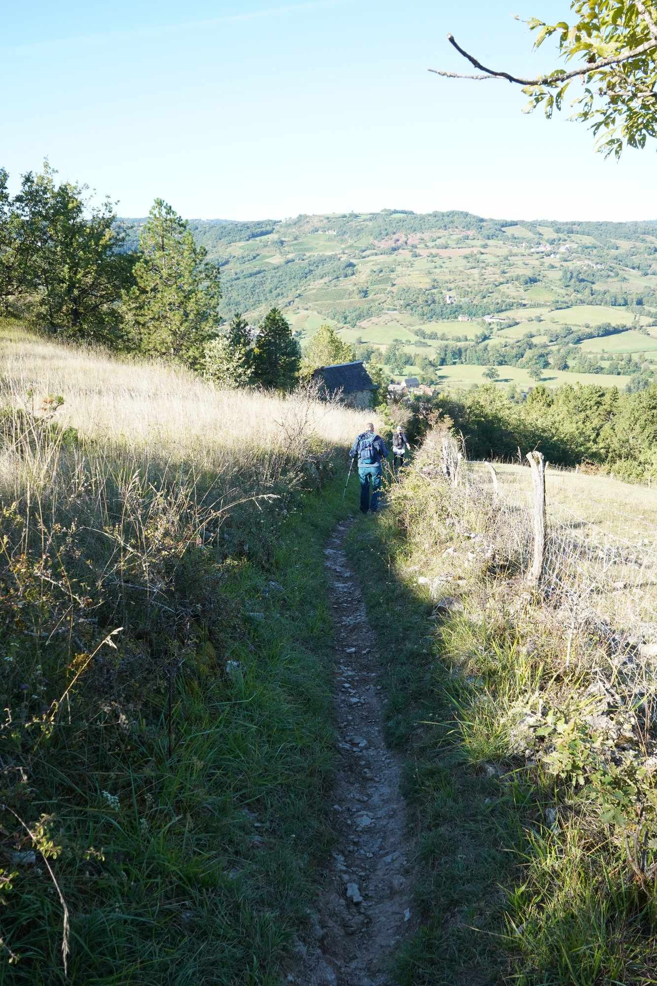 Received 848594250747572