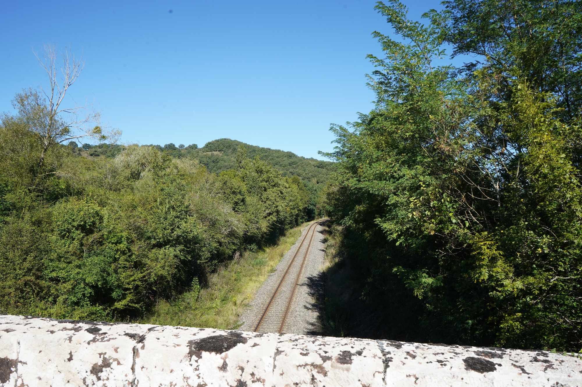 Received 862321128948743