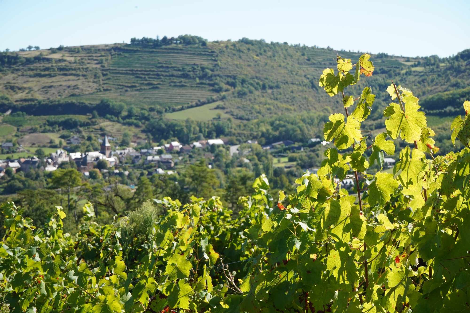 Received 880467057355802