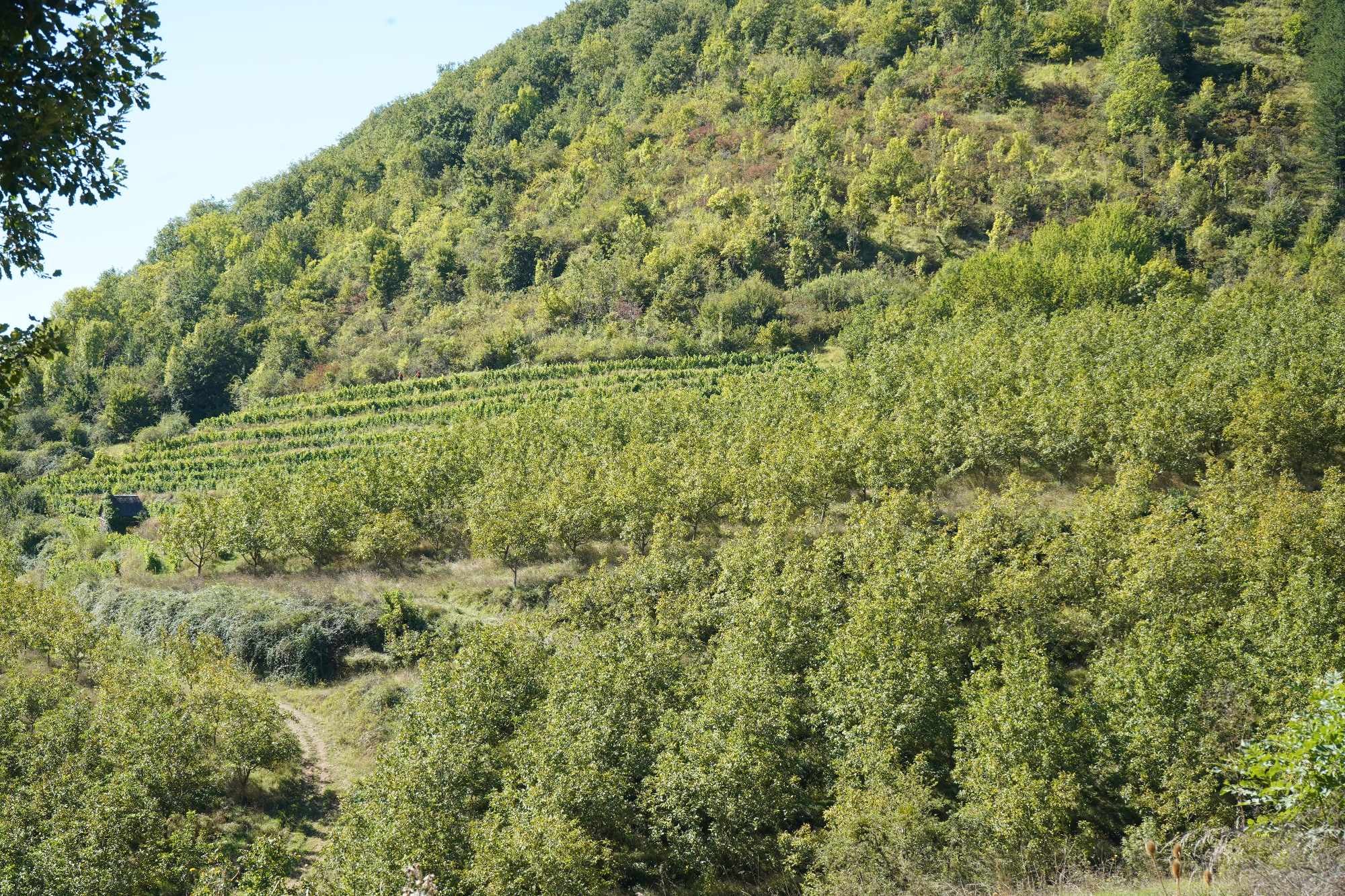 Received 881029146759063