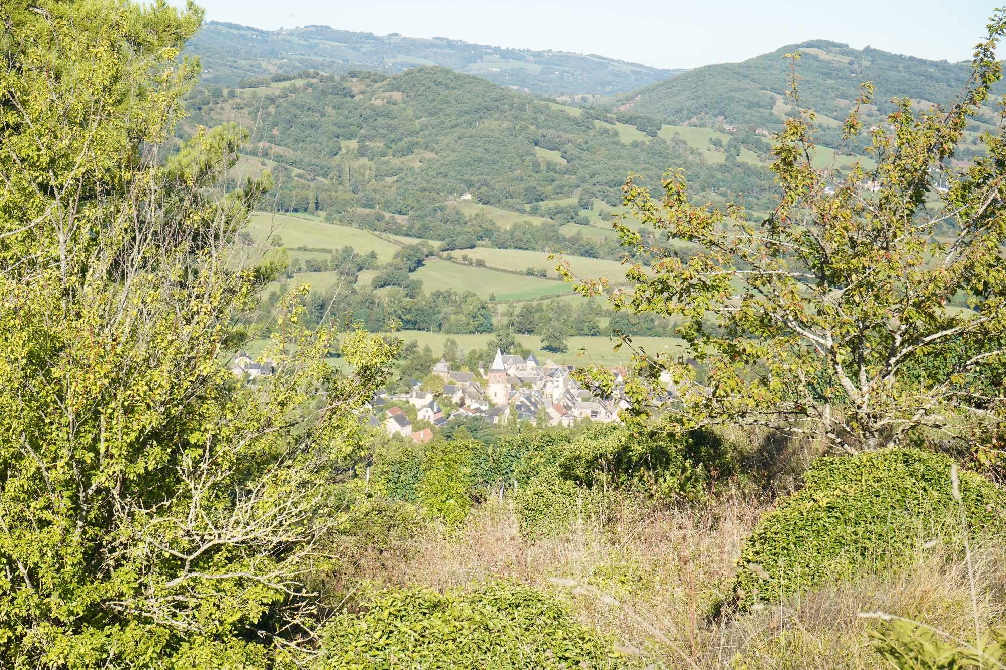 Received 884926386336877