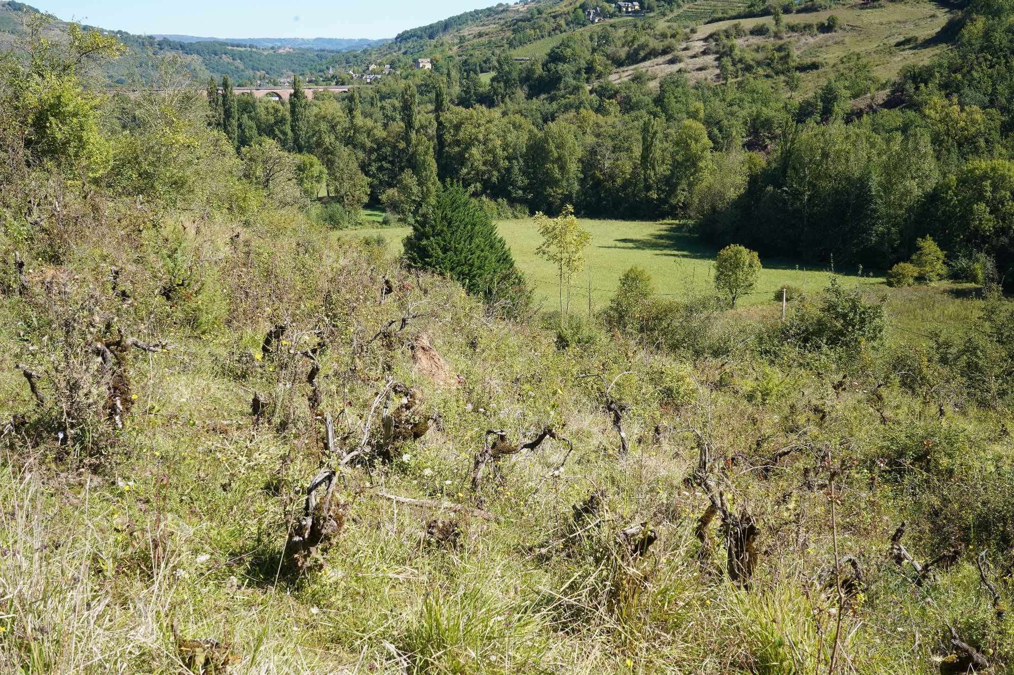 Received 895909179093012