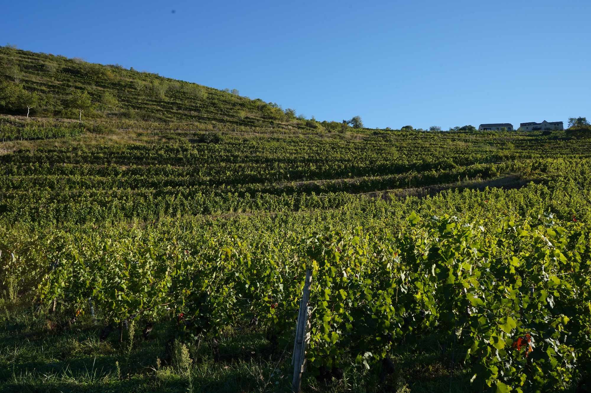 Received 908199101198188