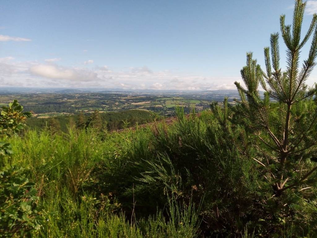 Sortie vtt 08 07 21 2 