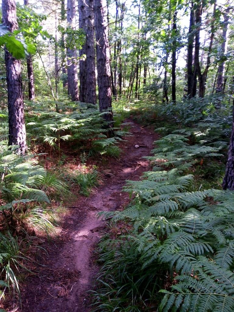 Sortie vtt 08 07 21 6 