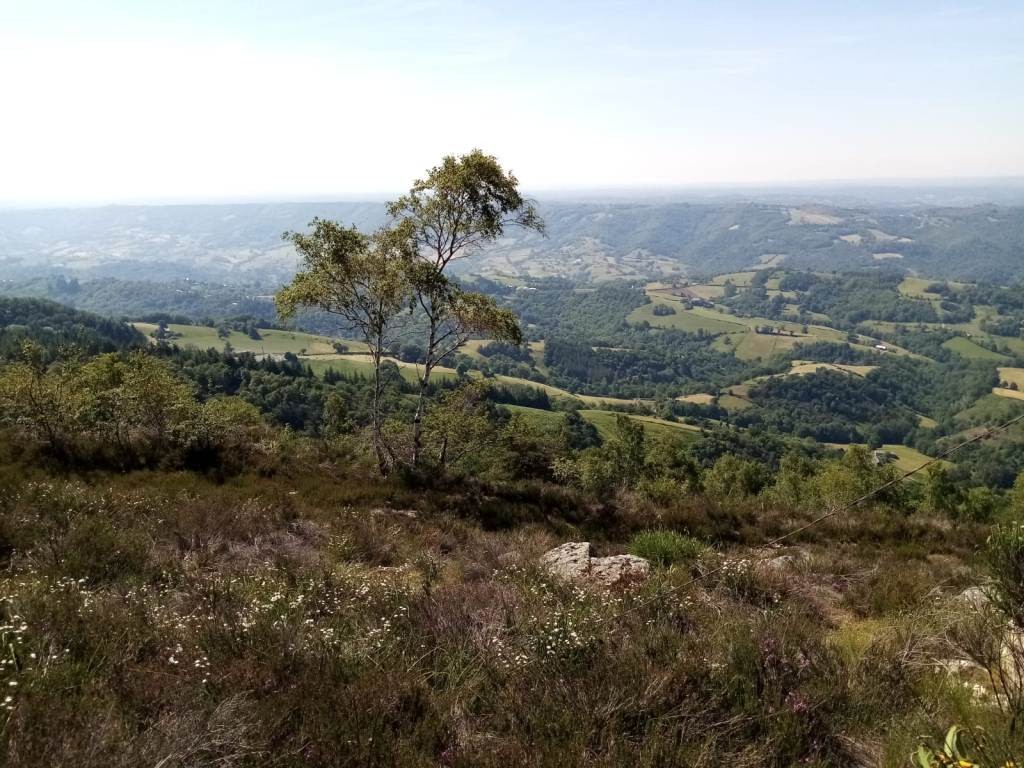 Sortie vtt 12 06 21 1 