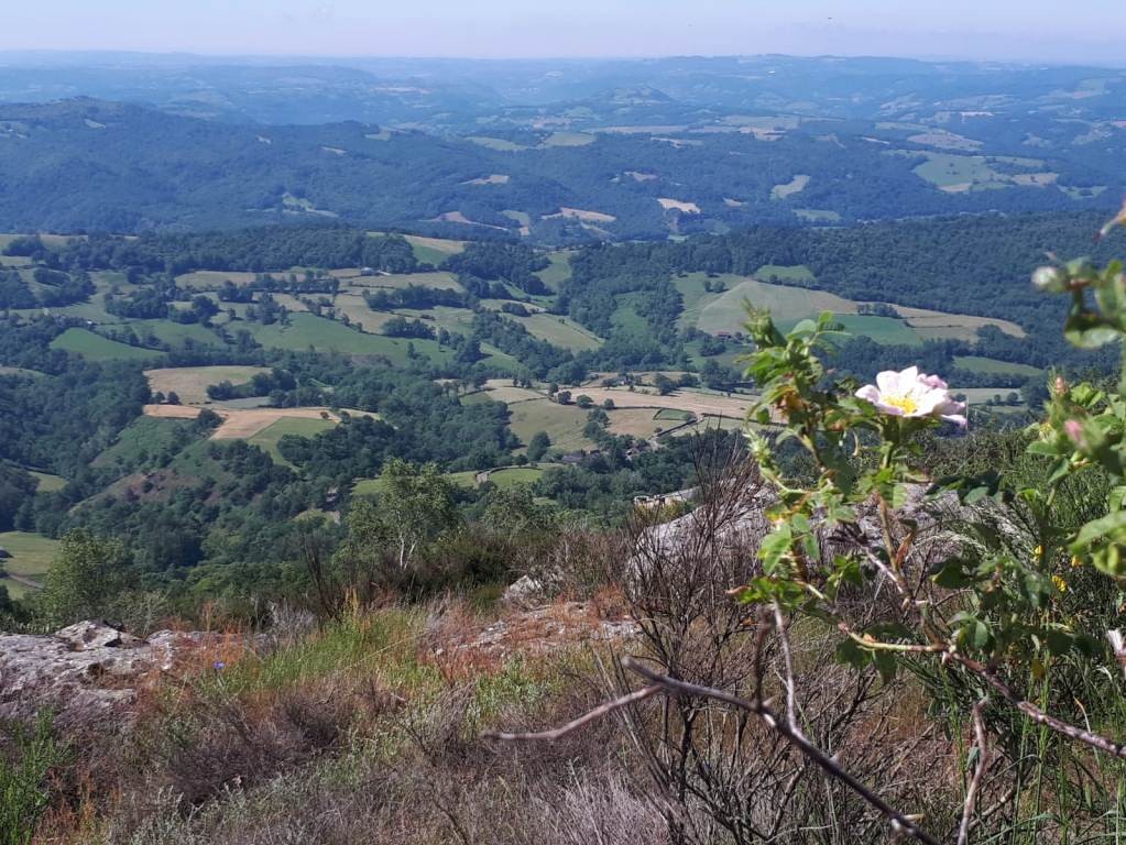 Sortie vtt 12 06 21 8 