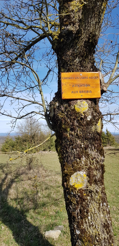 Sortie VTT 12 Mars 2019 (13) - Copie