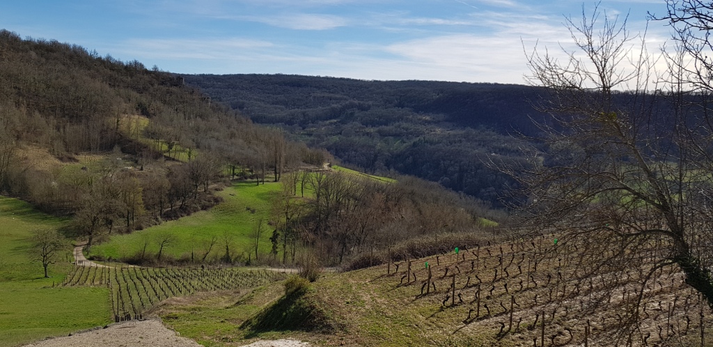 Sortie VTT 16 Mars 2019 (35) - Copie