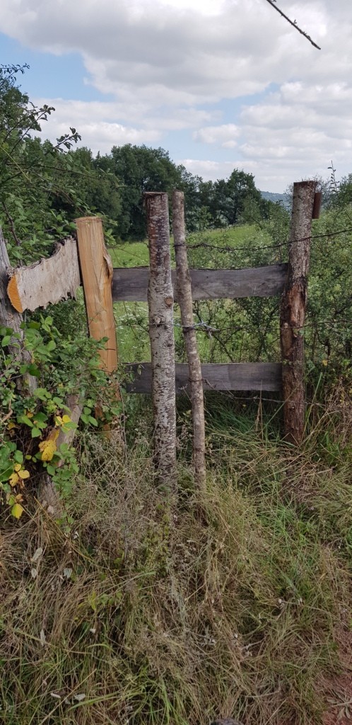 Sortie vtt 17 08 21 1 