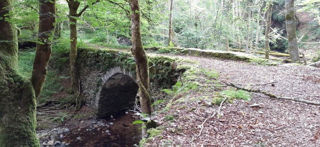 Sortie vtt 18 08 21 2 