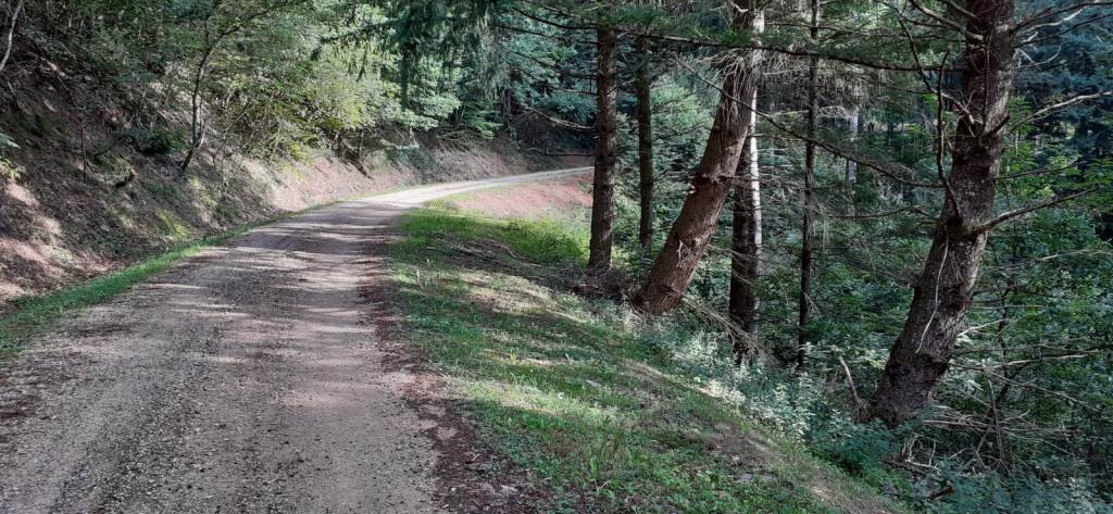 Sortie vtt 18 08 21 4 