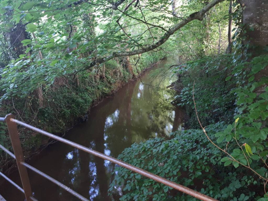 Sortie VTT 22 Mai 2019 (4)