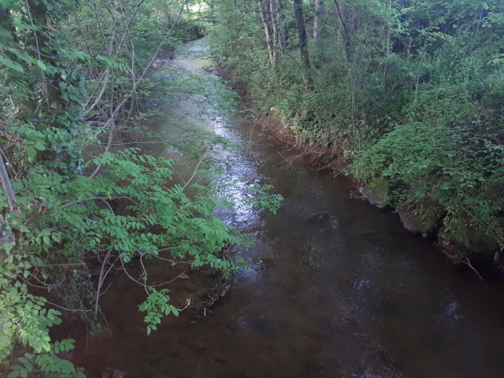 Sortie VTT 22 Mai 2019 (5)