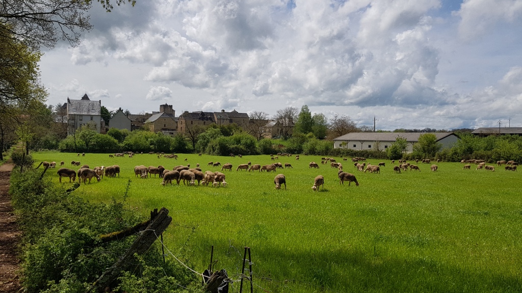 Sortie VTT 24 Avril 2019 Parcours Terra Trail Valady (12)