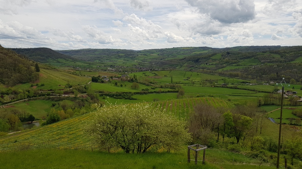 Sortie VTT 24 Avril 2019 Parcours Terra Trail Valady (17)