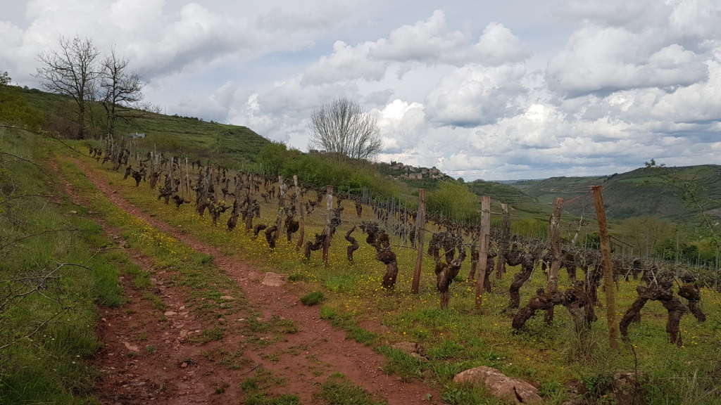 Sortie VTT 24 Avril 2019 Parcours Terra Trail Valady (24)