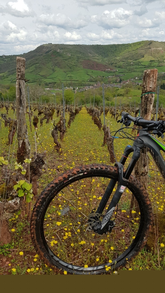 Sortie VTT 24 Avril 2019 Parcours Terra Trail Valady (26)