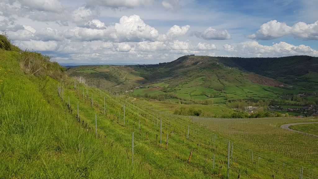 Sortie VTT 24 Avril 2019 Parcours Terra Trail Valady (29)