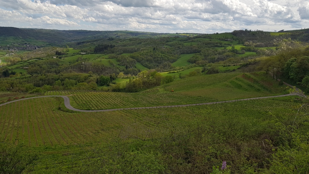 Sortie VTT 24 Avril 2019 Parcours Terra Trail Valady (31)