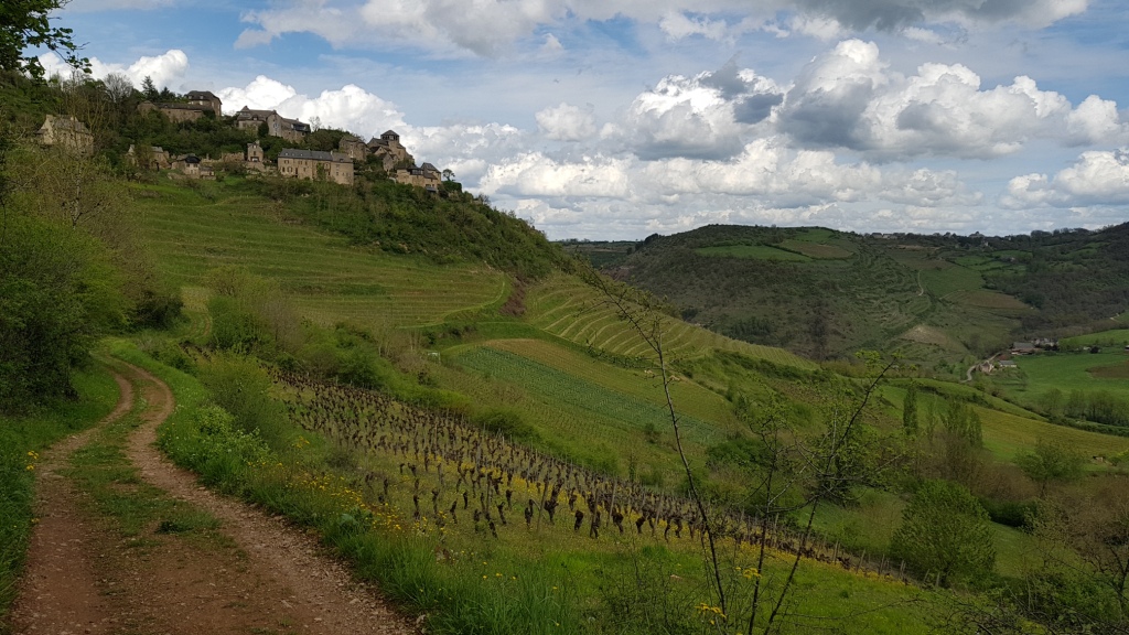 Sortie VTT 24 Avril 2019 Parcours Terra Trail Valady (36)