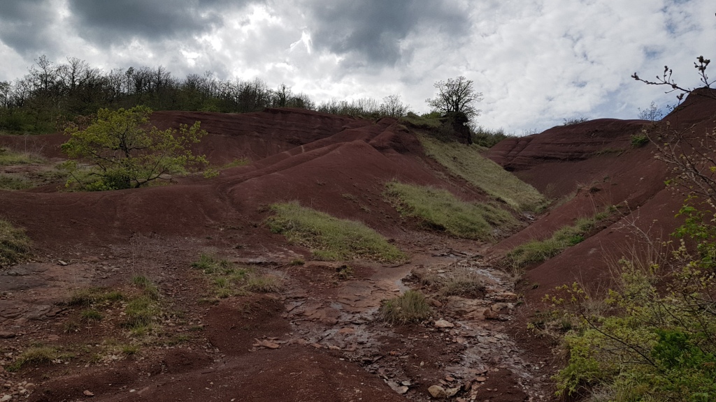 Sortie VTT 24 Avril 2019 Parcours Terra Trail Valady (39)