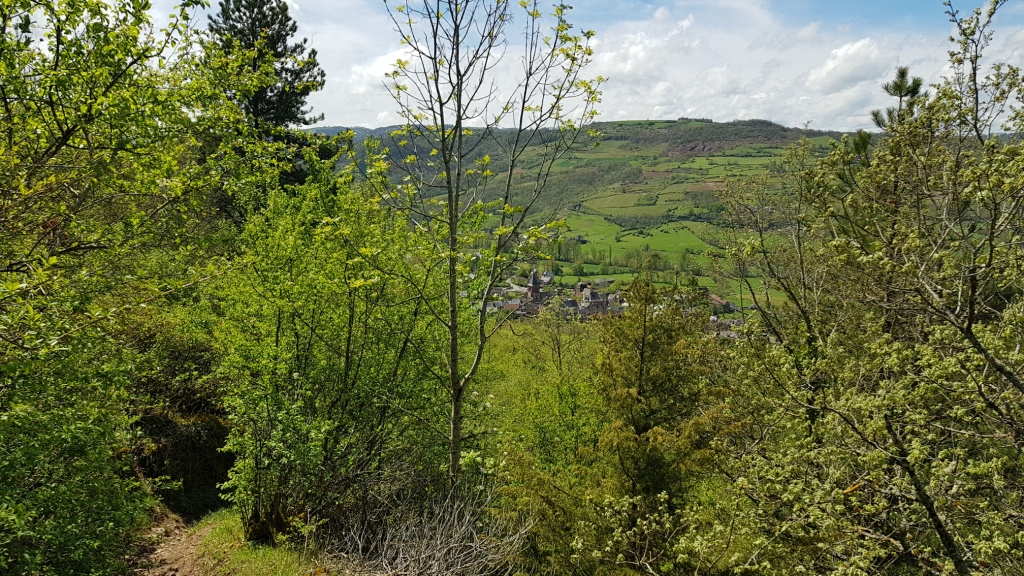 Sortie VTT 24 Avril 2019 Parcours Terra Trail Valady (7)
