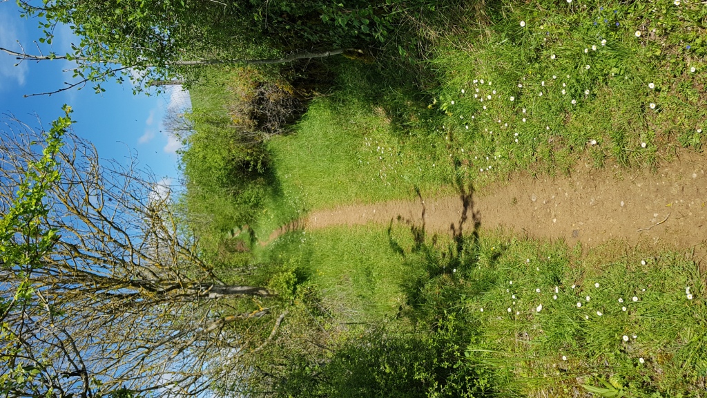 Sortie VTT 24 Avril 2019 Parcours Terra Trail Valady (9)