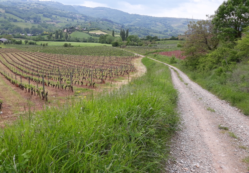 Sortie VTT 25 Mai 2019 (1)