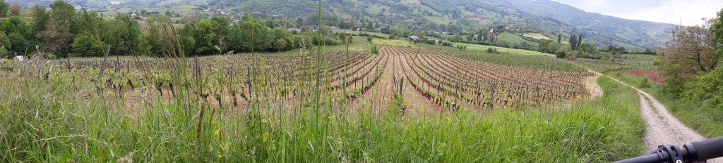 Sortie VTT 25 Mai 2019 (2)