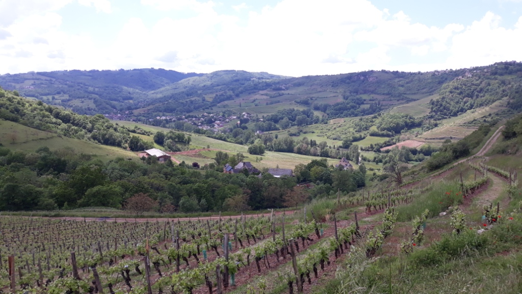 Sortie VTT 25 Mai 2019 (5)