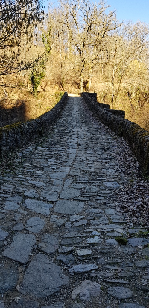 Sortie VTT 27 Février 2019 Pont de Comencau (14)