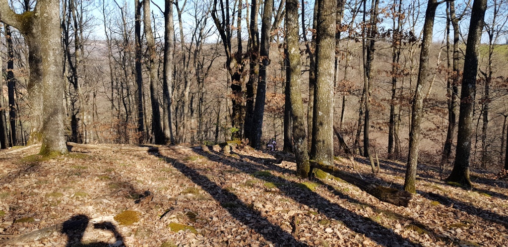 Sortie VTT 27 Février 2019 Pont de Comencau (29)