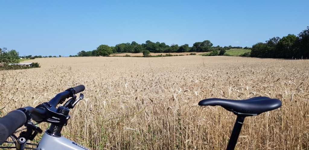 Sortie vtt 29 07 21 2 