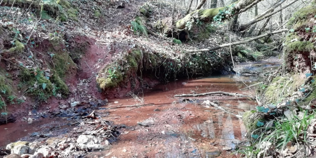 Sortie VTT 31 Mars 2019 (22)