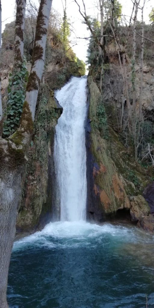 Sortie VTT 50 Km Février 2019 (14)