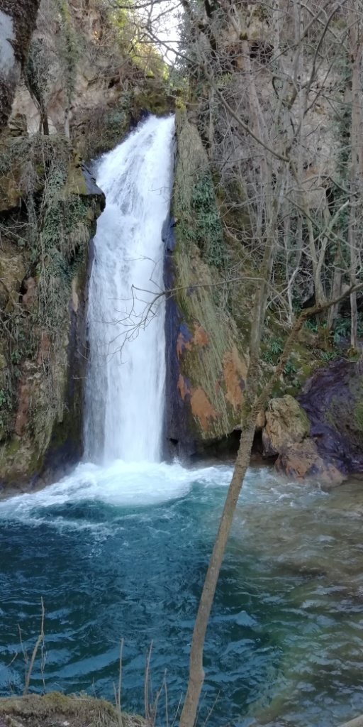 Sortie VTT 50 Km Février 2019 (18)