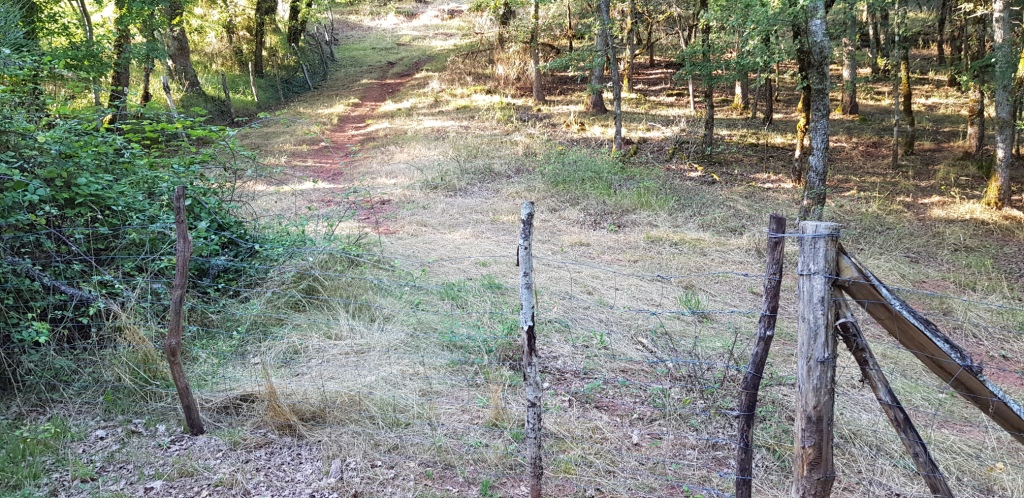 Sorties VTT et Trails Juillet Août Sept (16)