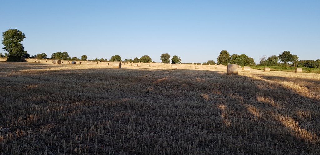 Sorties VTT et Trails Juillet Août Sept (18)