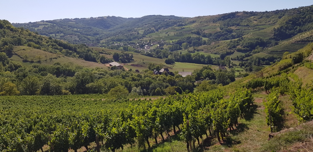 Sorties VTT et Trails Juillet Août Sept (44)