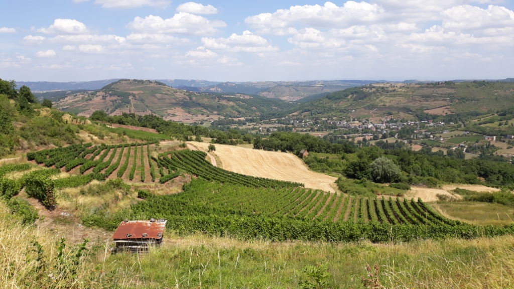 Sorties VTT et Trails Juillet Août Sept (7)
